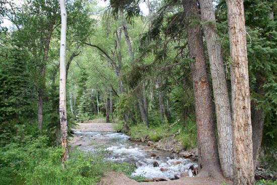 2008 White Family Reunion at Big Rock Candy Mountain, Utah